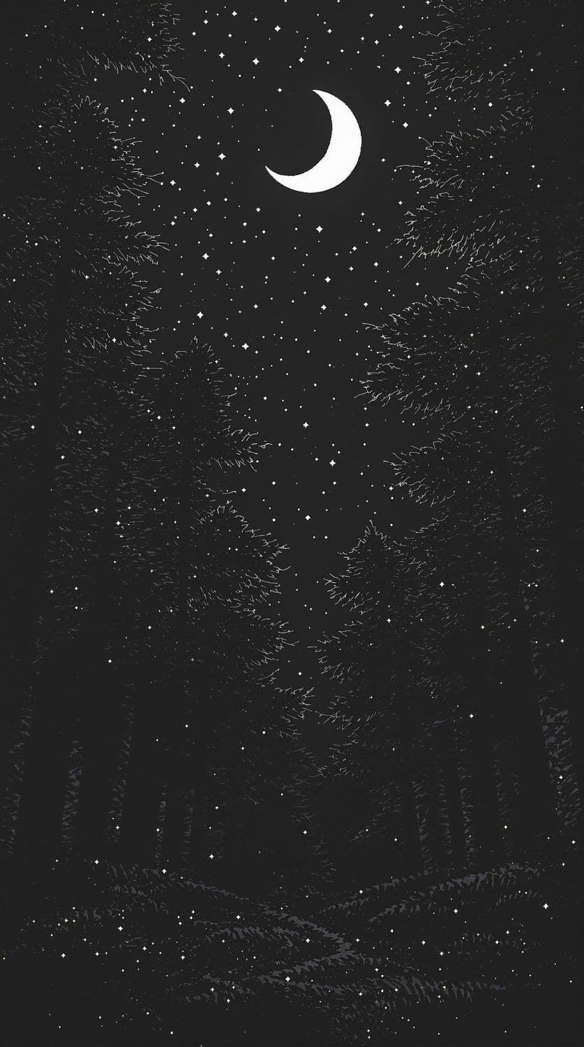 Moonlit Forest Clearing