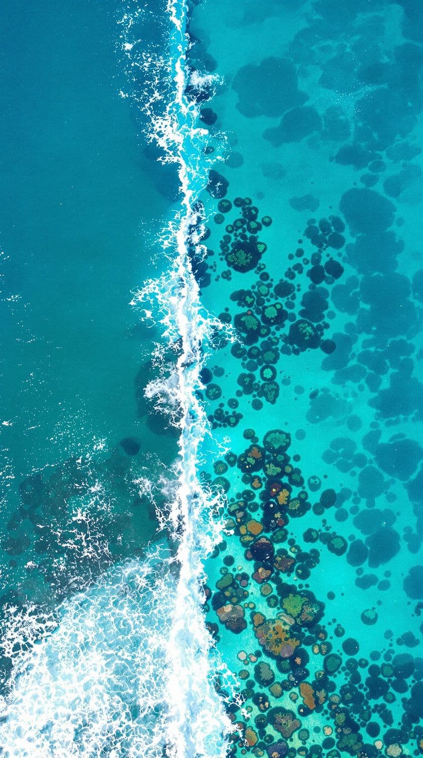 Coral Reef Aerial