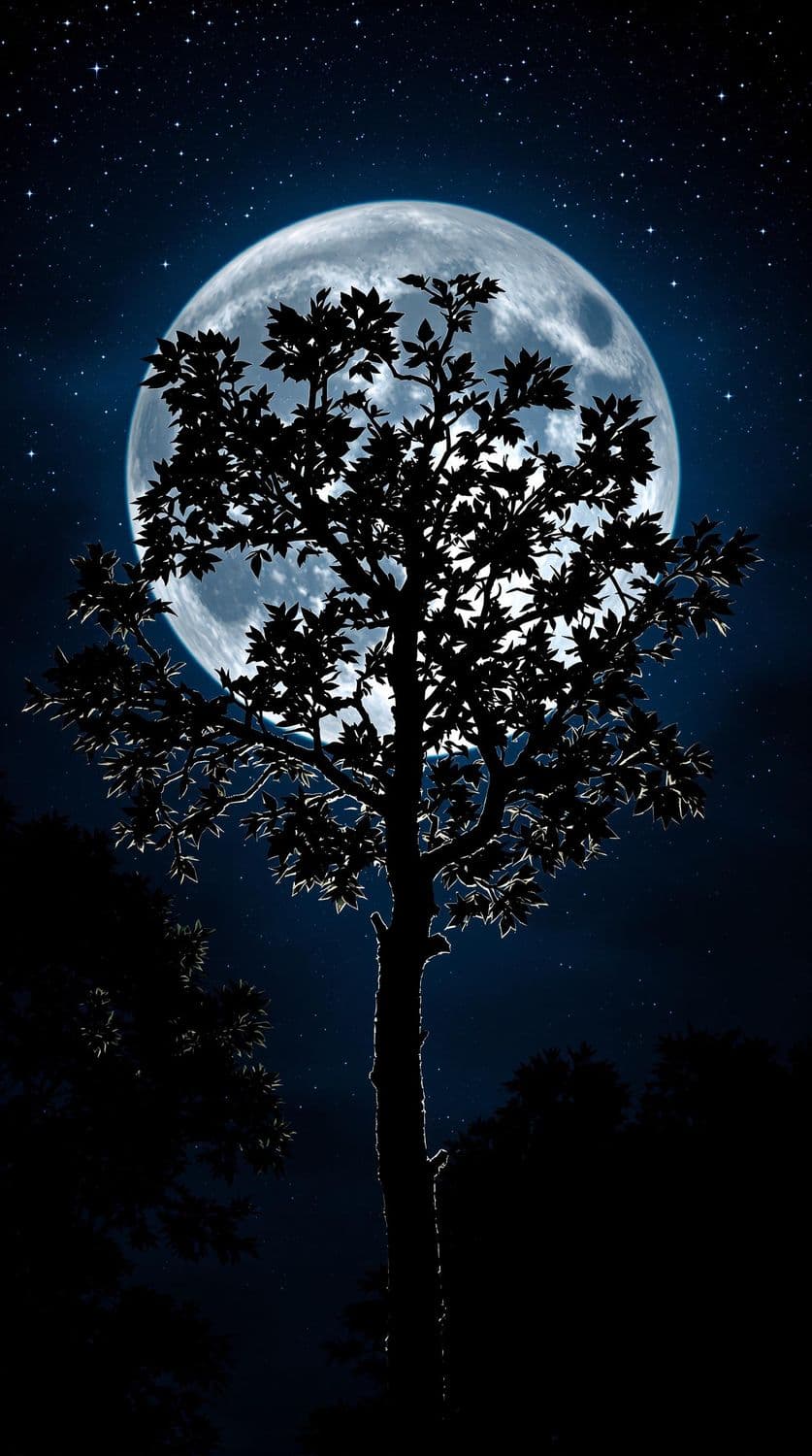 Moonlit Branch Silhouette
