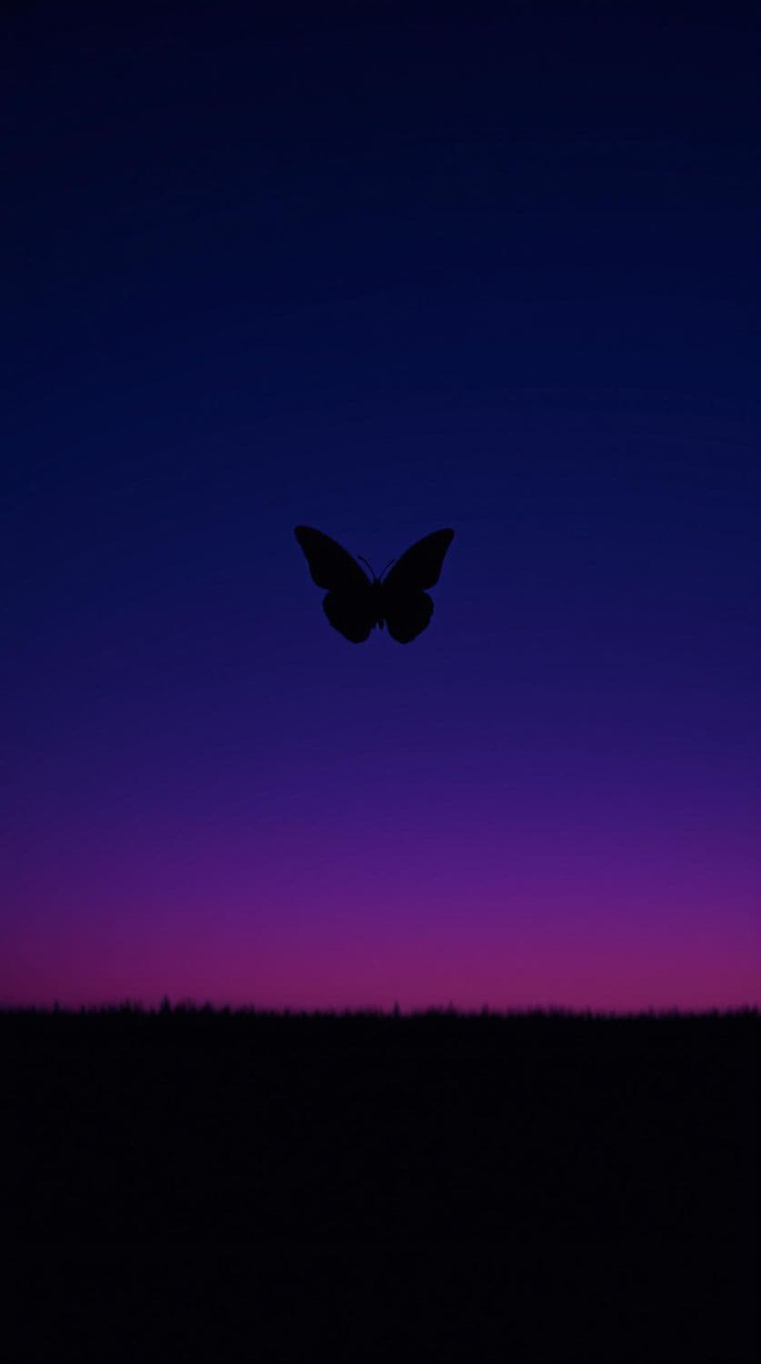 Butterfly in Twilight