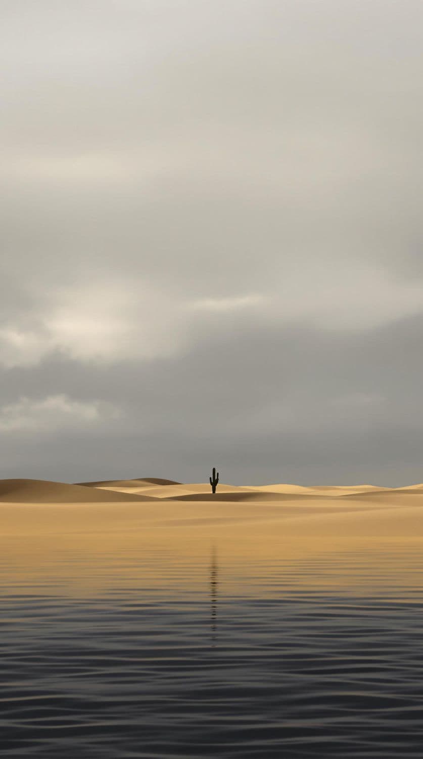 Desert Solitude
