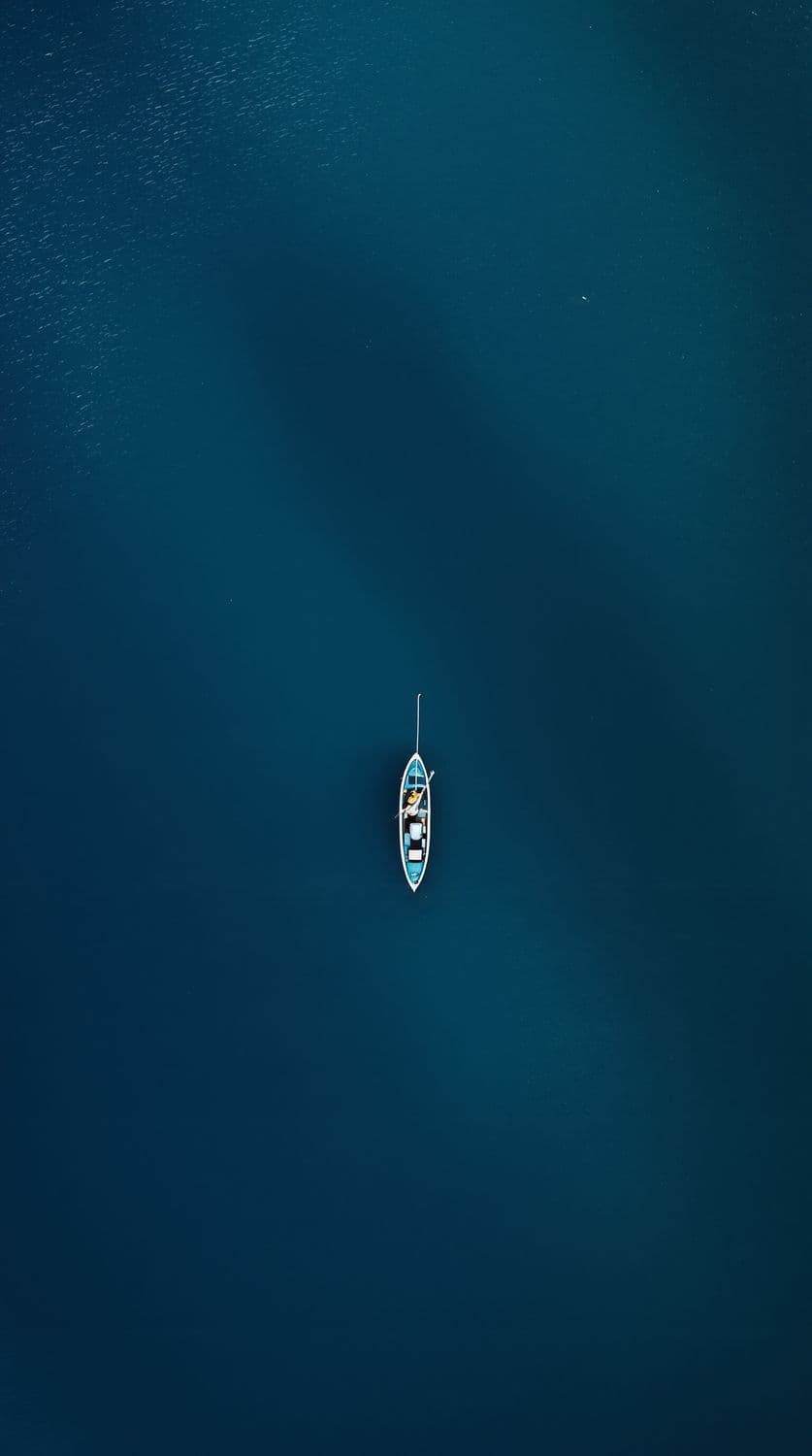 Fisherman on a Calm Lake