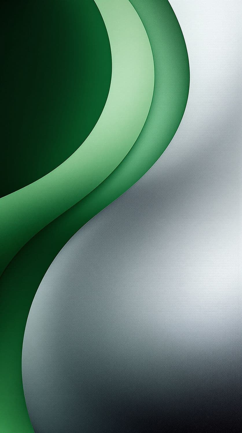 Minimalist Curves