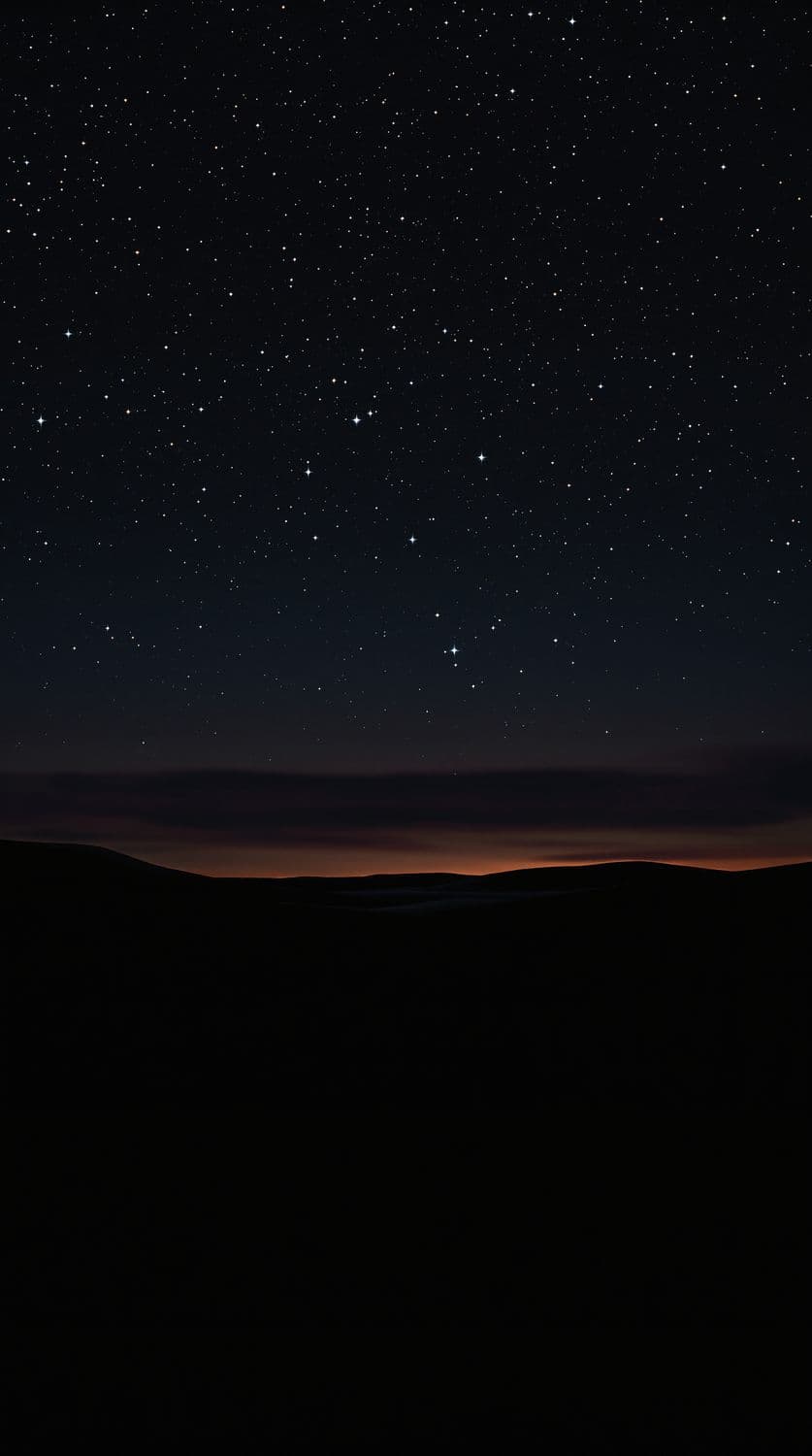Nocturnal Desertscape