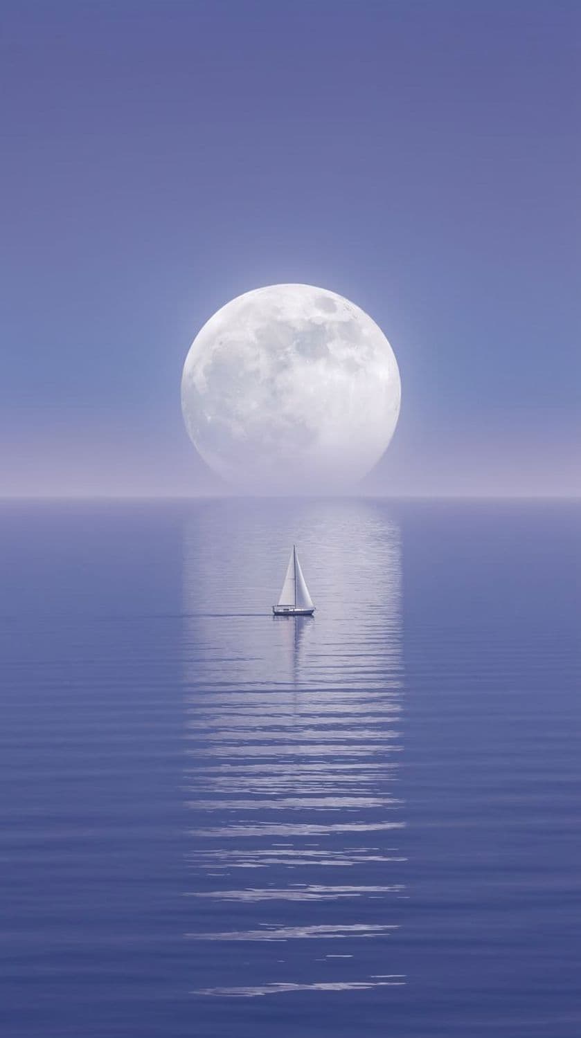 Sailing into the Moonlit Horizon