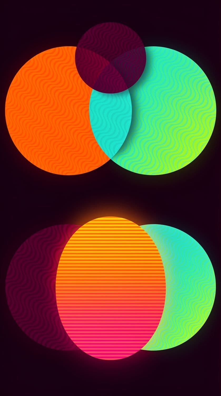 Symphony of Shapes