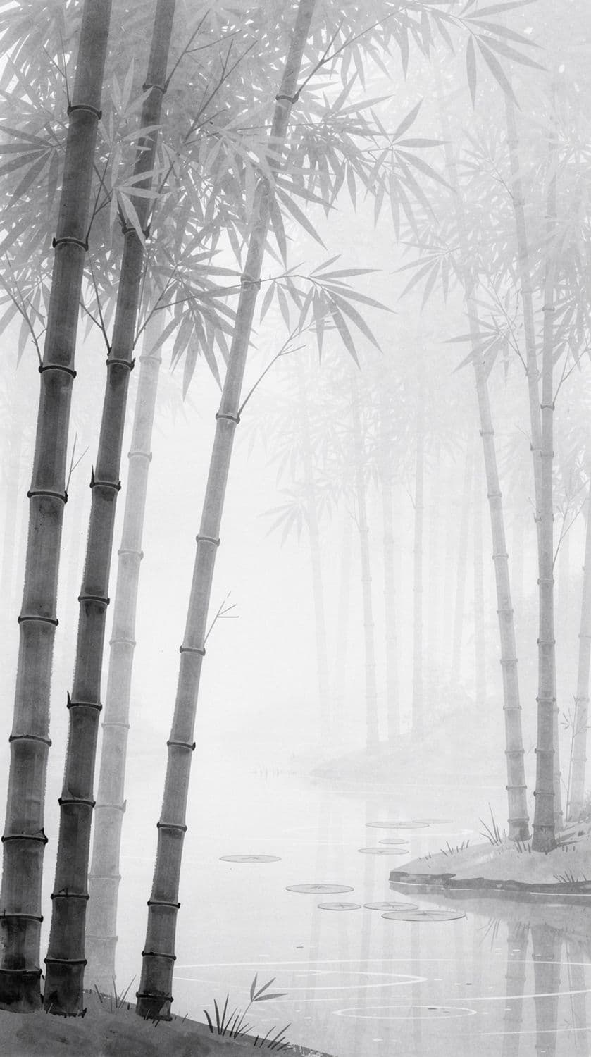 Tranquil Bamboo Forest