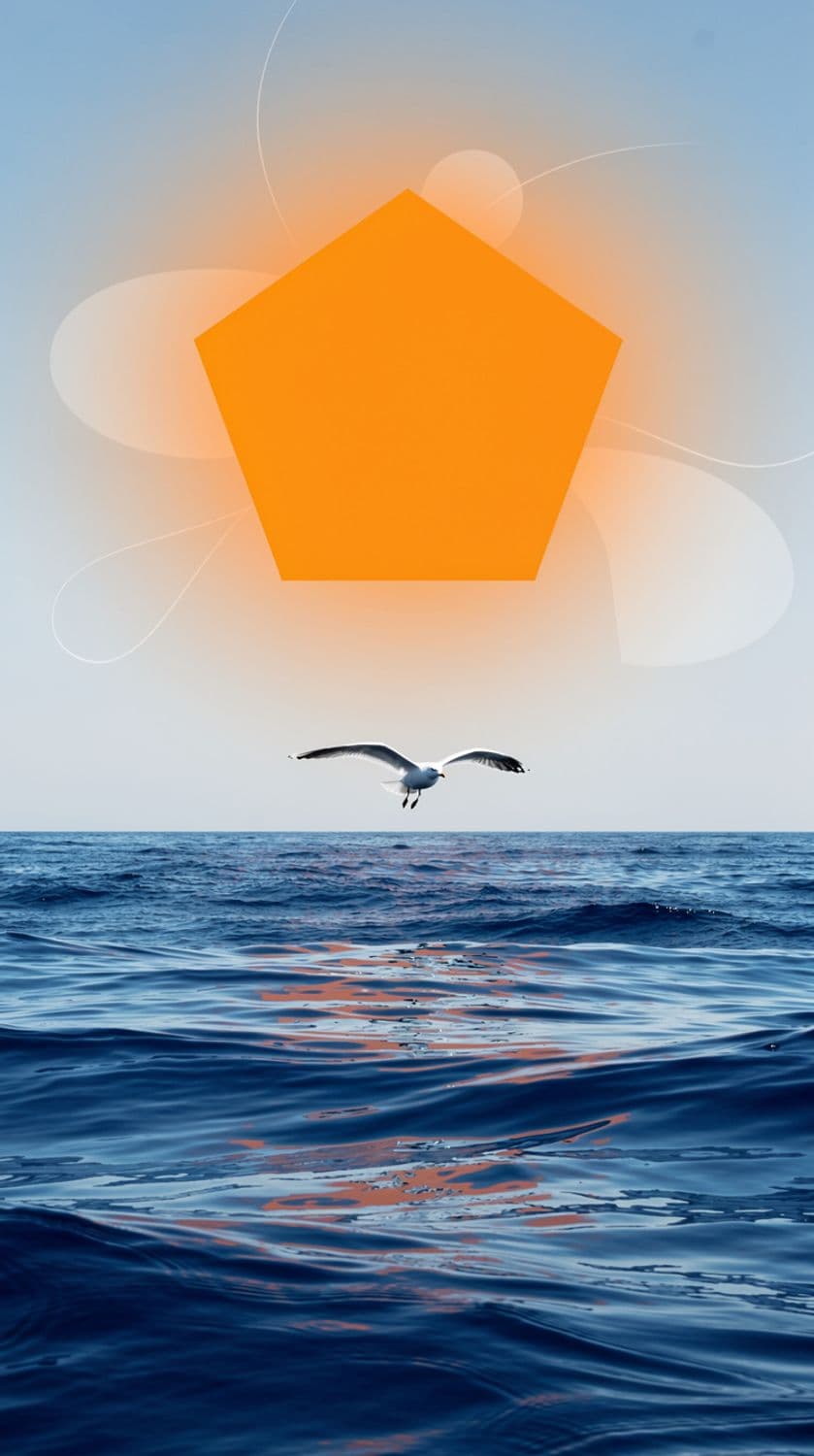 Oceanic Freedom